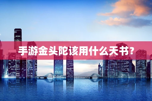 手游金头陀该用什么天书？
