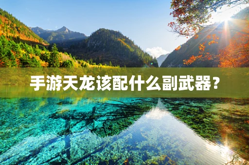 手游天龙该配什么副武器？