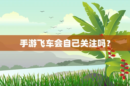 手游飞车会自己关注吗？