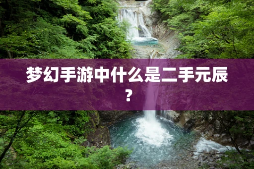 梦幻手游中什么是二手元辰？