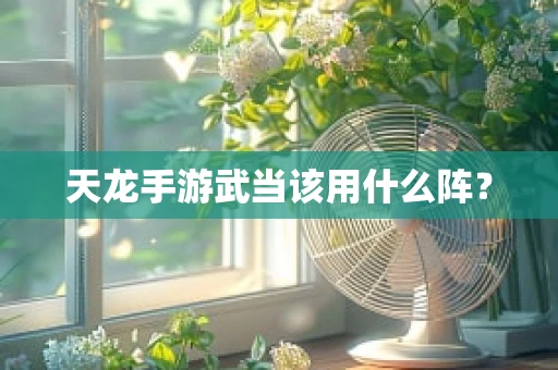 天龙手游武当该用什么阵？