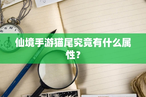 仙境手游猫尾究竟有什么属性？