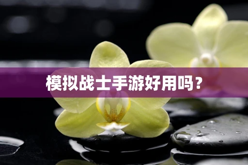 模拟战士手游好用吗？