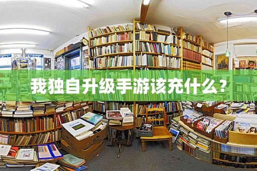 我独自升级手游该充什么？