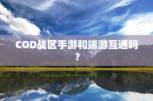 COD战区手游和端游互通吗？