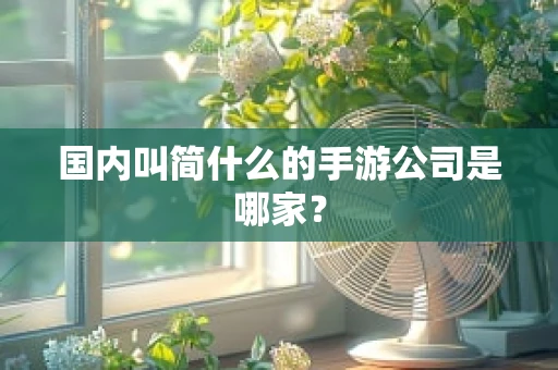 国内叫简什么的手游公司是哪家？