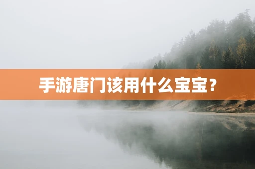 手游唐门该用什么宝宝？