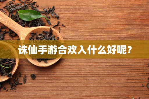 诛仙手游合欢入什么好呢？