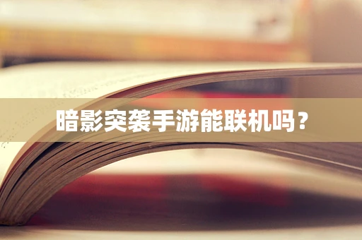 暗影突袭手游能联机吗？