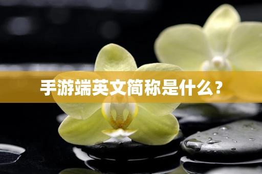 手游端英文简称是什么？