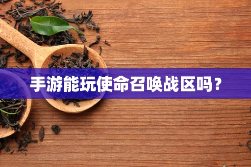 手游能玩使命召唤战区吗？