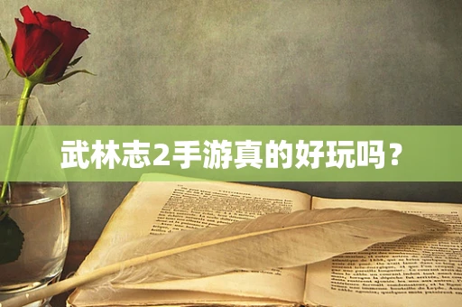 武林志2手游真的好玩吗？