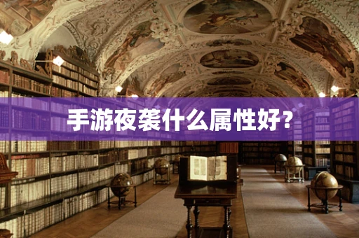 手游夜袭什么属性好？