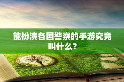 能扮演各国警察的手游究竟叫什么？