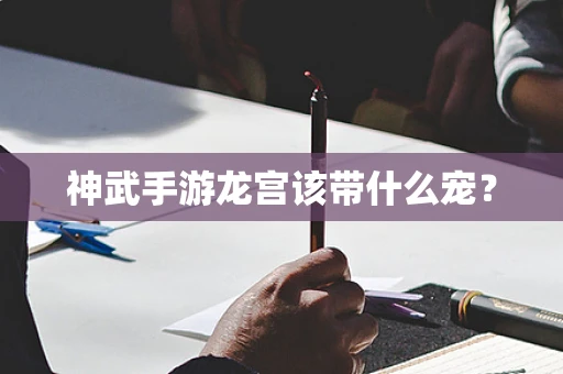 神武手游龙宫该带什么宠？