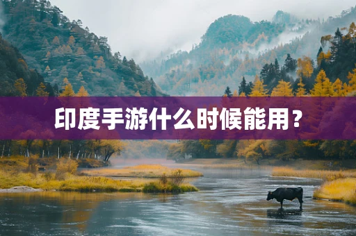 印度手游什么时候能用？