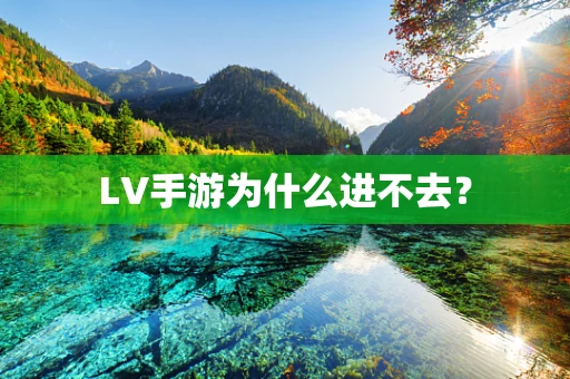 LV手游为什么进不去？