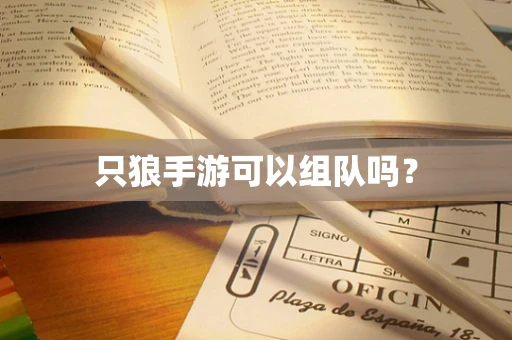 只狼手游可以组队吗？