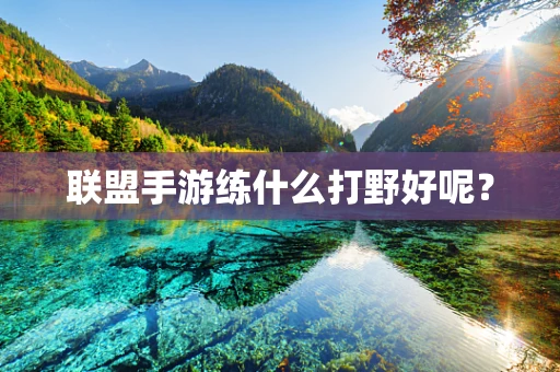 联盟手游练什么打野好呢？