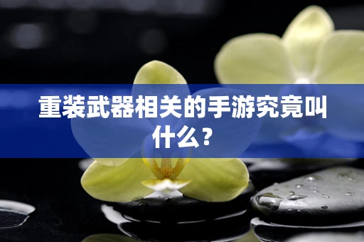 重装武器相关的手游究竟叫什么？
