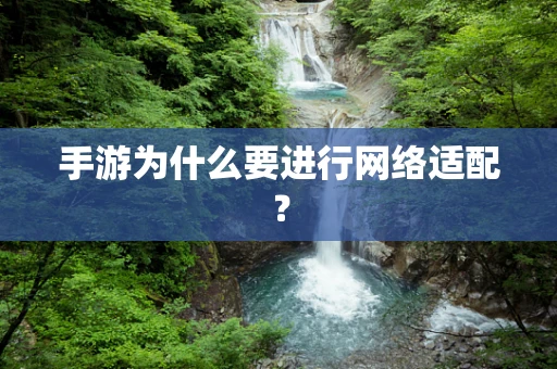 手游为什么要进行网络适配？
