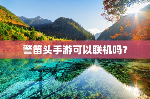 警笛头手游可以联机吗？