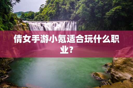 倩女手游小氪适合玩什么职业？