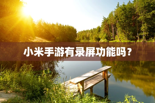 小米手游有录屏功能吗？