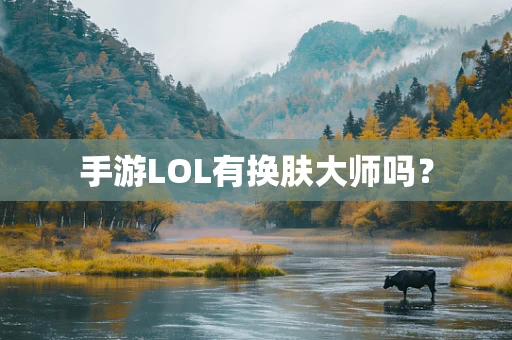 手游LOL有换肤大师吗？