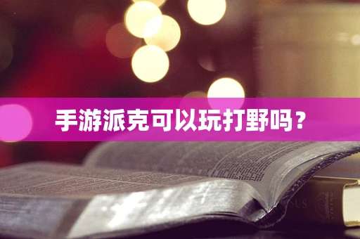 手游派克可以玩打野吗？