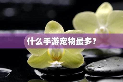 什么手游宠物最多？