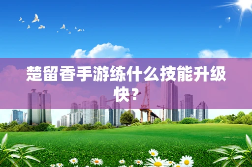 楚留香手游练什么技能升级快？