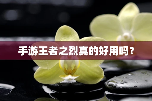 手游王者之烈真的好用吗？