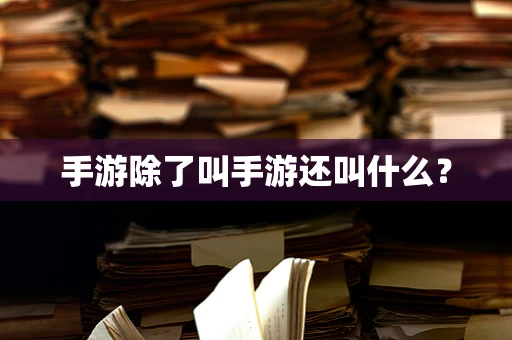 手游除了叫手游还叫什么？