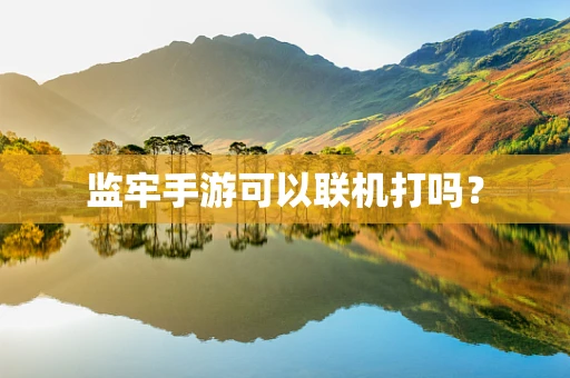 监牢手游可以联机打吗？