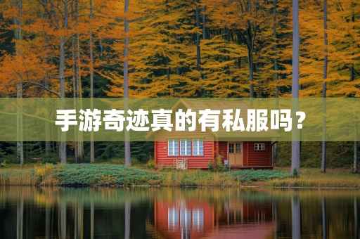 手游奇迹真的有私服吗？