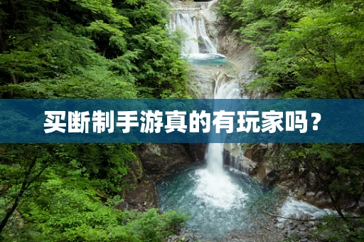 买断制手游真的有玩家吗？