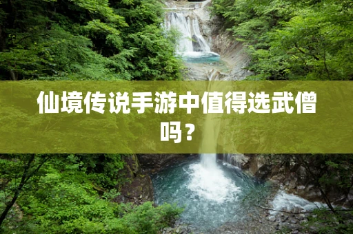 仙境传说手游中值得选武僧吗？