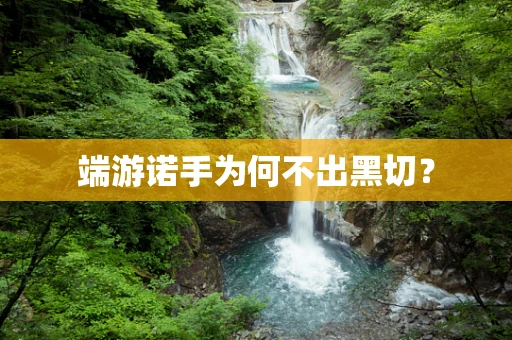端游诺手为何不出黑切？