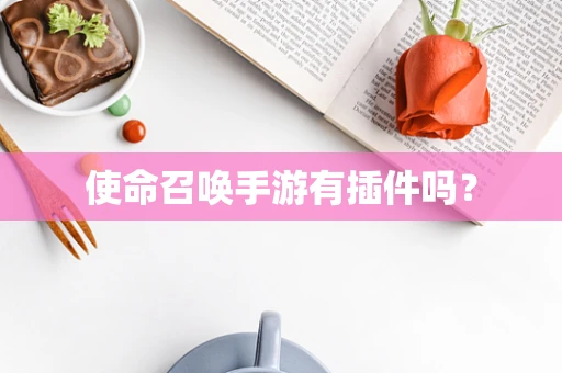 使命召唤手游有插件吗？