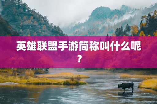 英雄联盟手游简称叫什么呢？