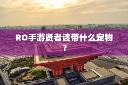 RO手游贤者该带什么宠物？