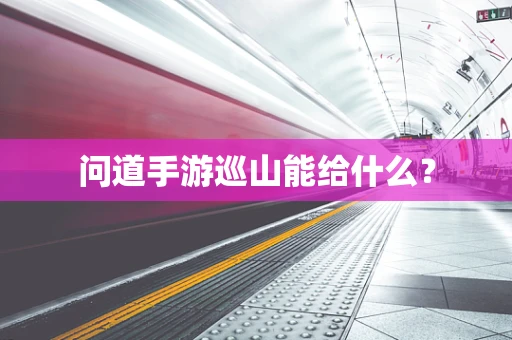 问道手游巡山能给什么？