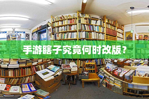 手游瞎子究竟何时改版？