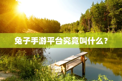 兔子手游平台究竟叫什么？