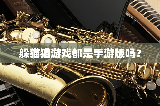 躲猫猫游戏都是手游版吗？