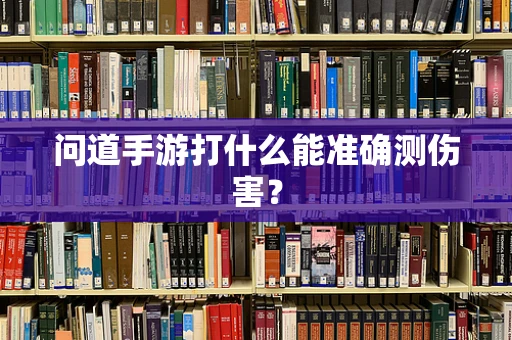 问道手游打什么能准确测伤害？
