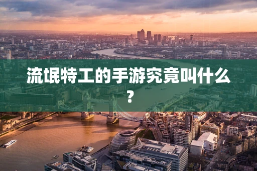 流氓特工的手游究竟叫什么？