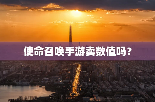 使命召唤手游卖数值吗？