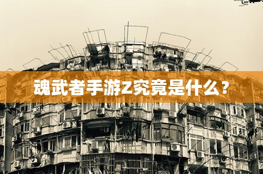 魂武者手游Z究竟是什么？